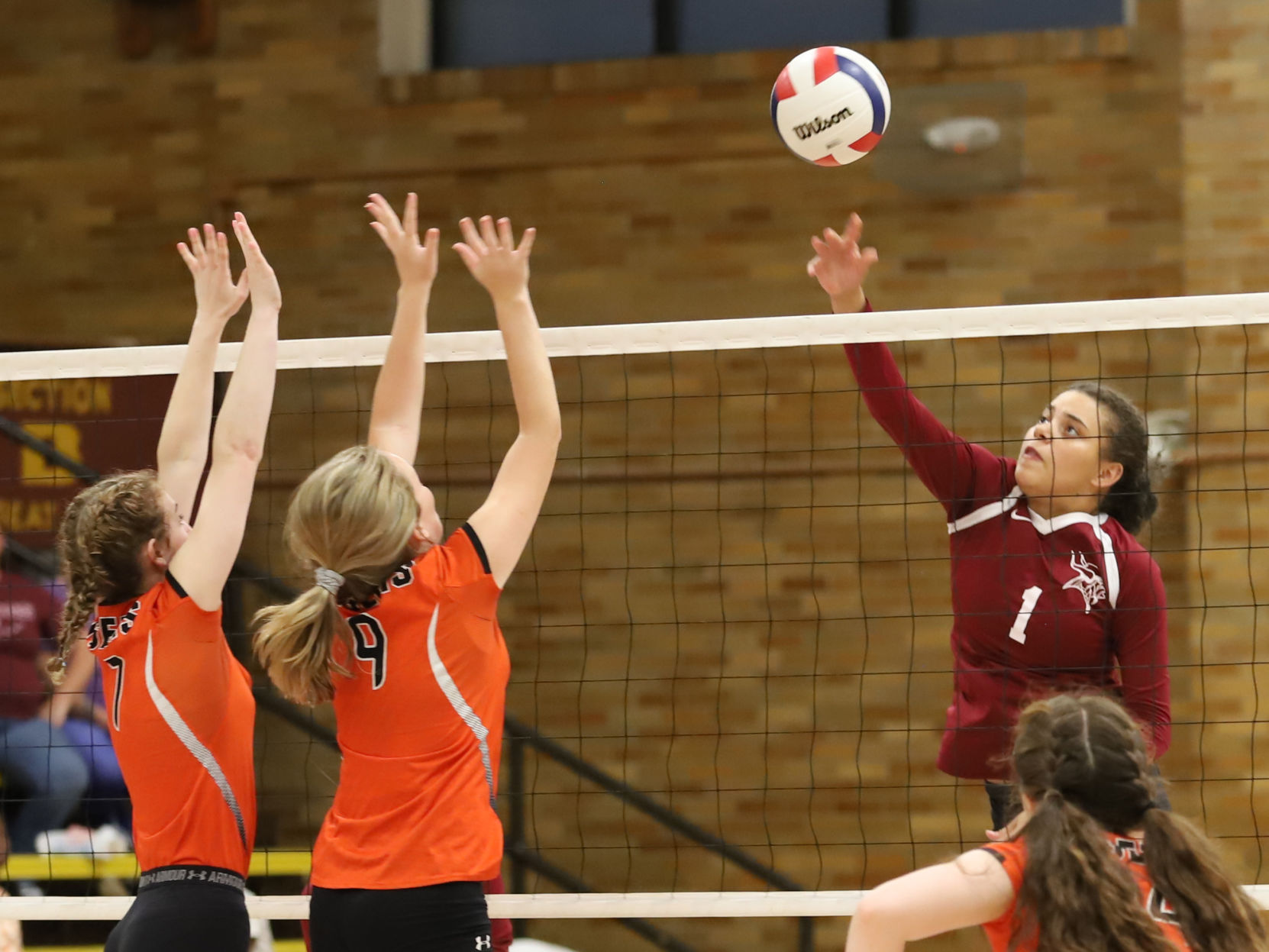 Tigers volleyball photo 1